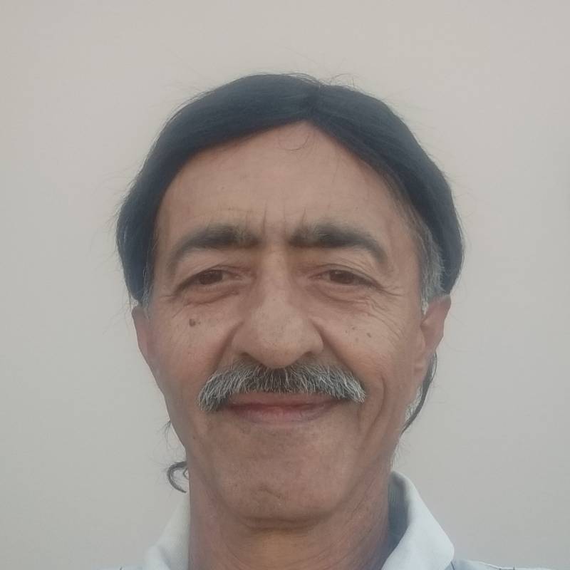 Anil, 69, Darmstadt
