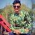 Kowshik, 25, California