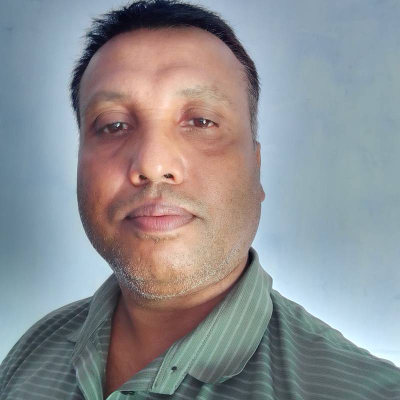 bulbul, 43, Chicago